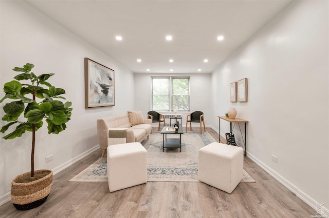 living room featuring light wood-type flooring