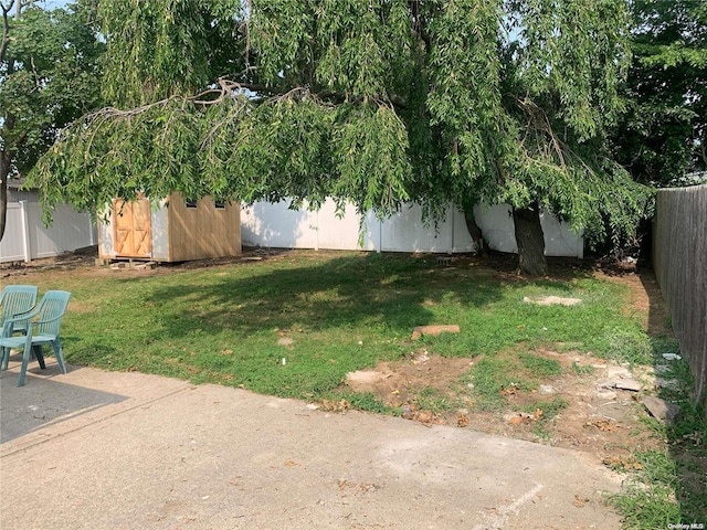 view of yard featuring a storage unit and a patio area