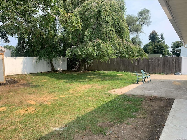 view of yard with a patio