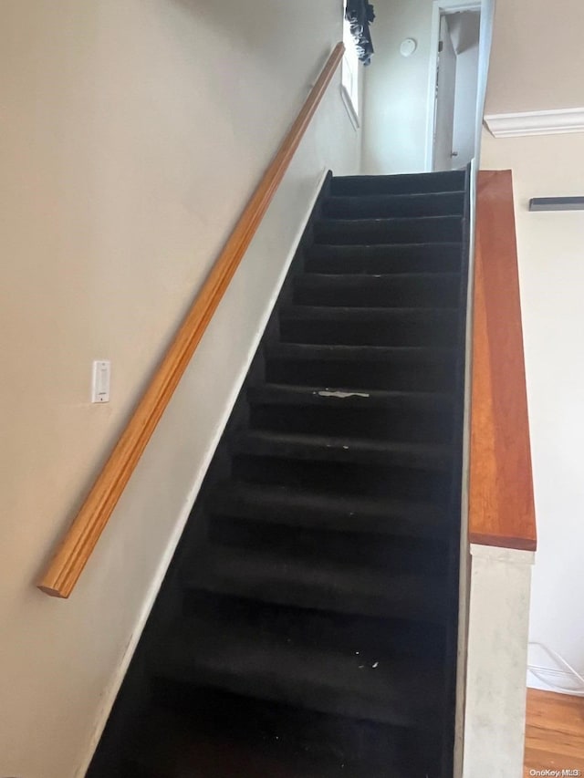 staircase with hardwood / wood-style floors