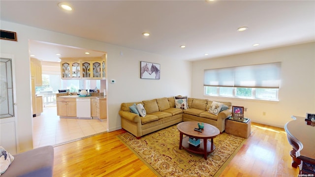 living room featuring light hardwood / wood-style floors