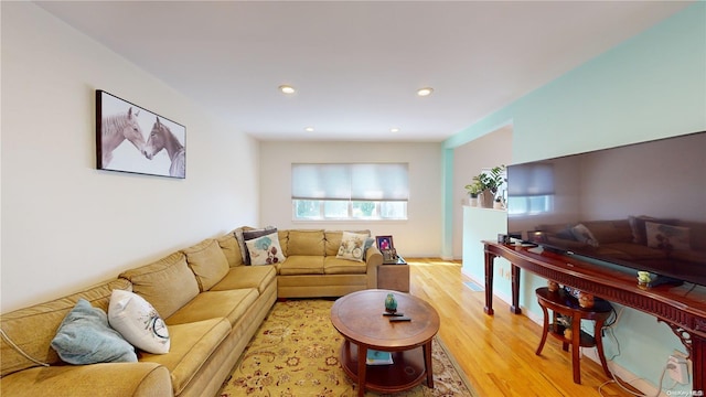 living room featuring light wood-type flooring