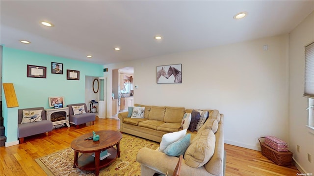 living room with light hardwood / wood-style flooring