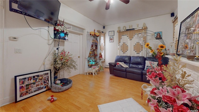 living room featuring hardwood / wood-style floors, ceiling fan, and a baseboard heating unit