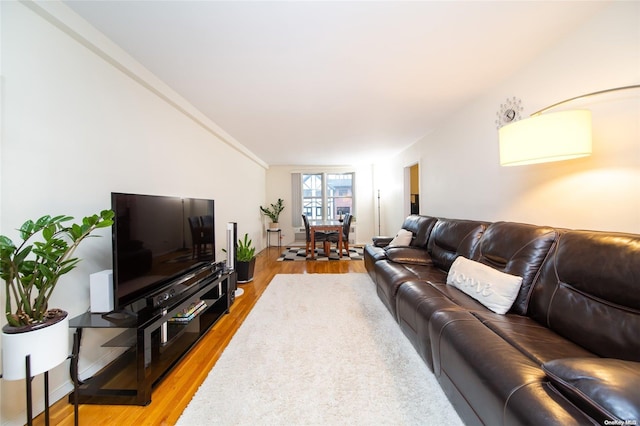 living room with ornamental molding and light hardwood / wood-style flooring