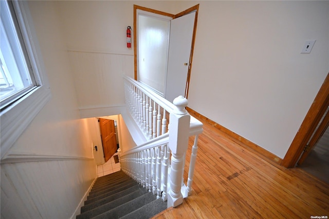 staircase featuring wood-type flooring