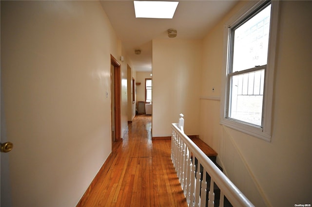 corridor with a skylight, light hardwood / wood-style flooring, and plenty of natural light