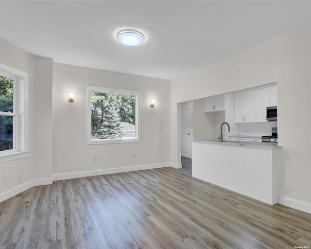2 Oak Ct, Staten Island, NY 10308 - unfurnished living room with light wood-type flooring and healthy amount of natural light