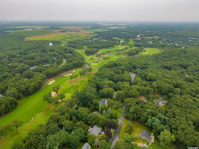 drone / aerial view