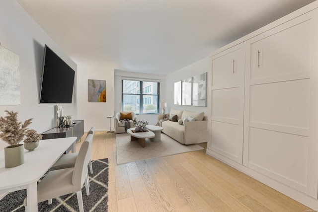 living room featuring light hardwood / wood-style flooring