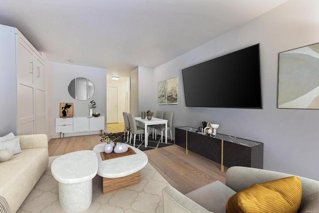 living room featuring wood-type flooring