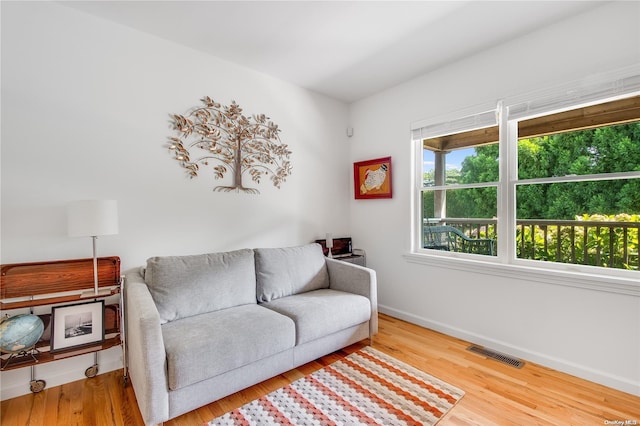 living room featuring hardwood / wood-style flooring