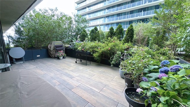 view of patio with grilling area