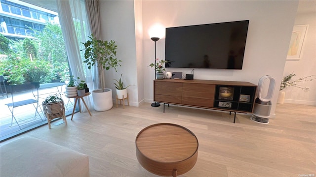 living room featuring wood-type flooring