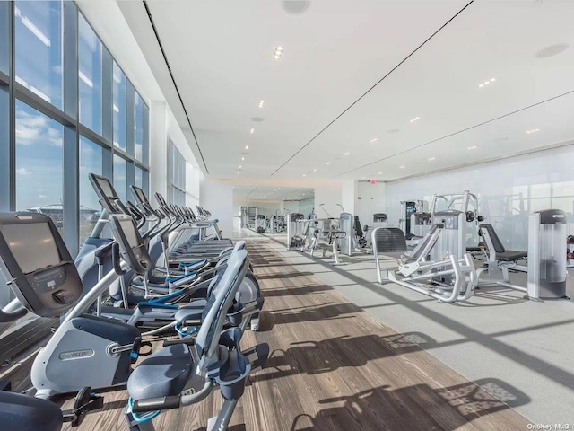 workout area featuring hardwood / wood-style flooring and expansive windows