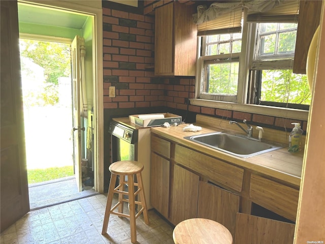 kitchen with tasteful backsplash, dishwasher, sink, and plenty of natural light