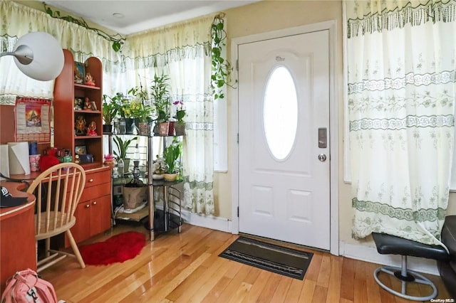 foyer with hardwood / wood-style flooring