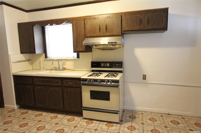 kitchen featuring ornamental molding, dark brown cabinets, ventilation hood, white range oven, and sink