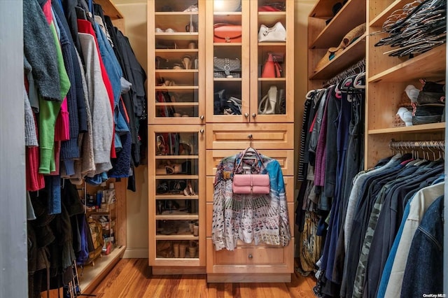 spacious closet with light hardwood / wood-style flooring