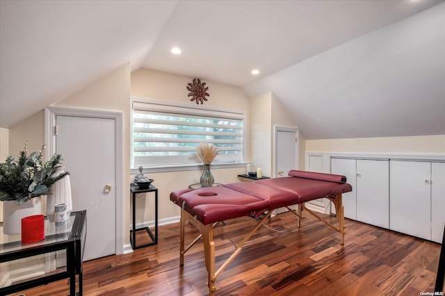 interior space featuring dark hardwood / wood-style floors and lofted ceiling