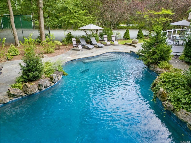 view of pool featuring a patio