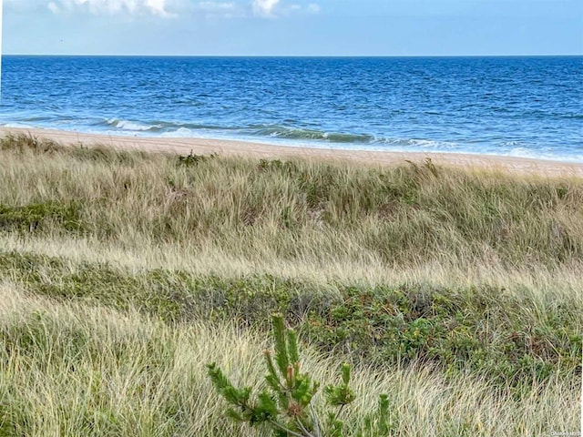 view of water feature featuring a beach view