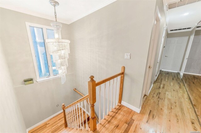 hallway with light wood-type flooring and ornamental molding