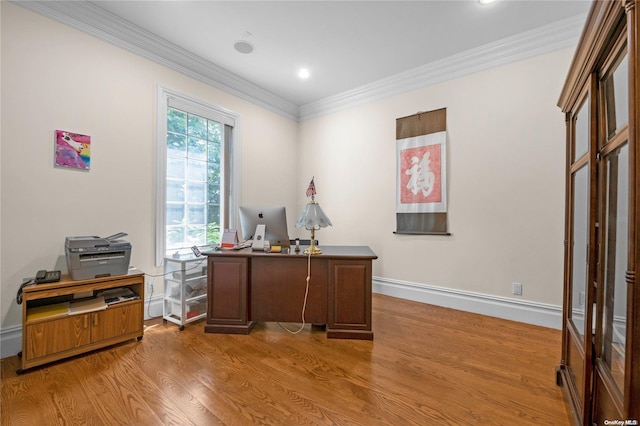 office featuring hardwood / wood-style flooring and ornamental molding