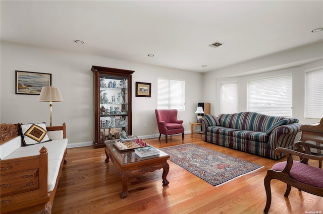 living room featuring hardwood / wood-style floors