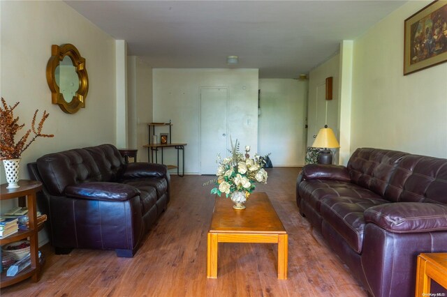 living room with wood-type flooring