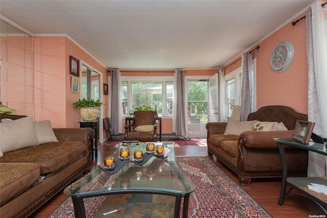 living room featuring hardwood / wood-style floors and ornamental molding