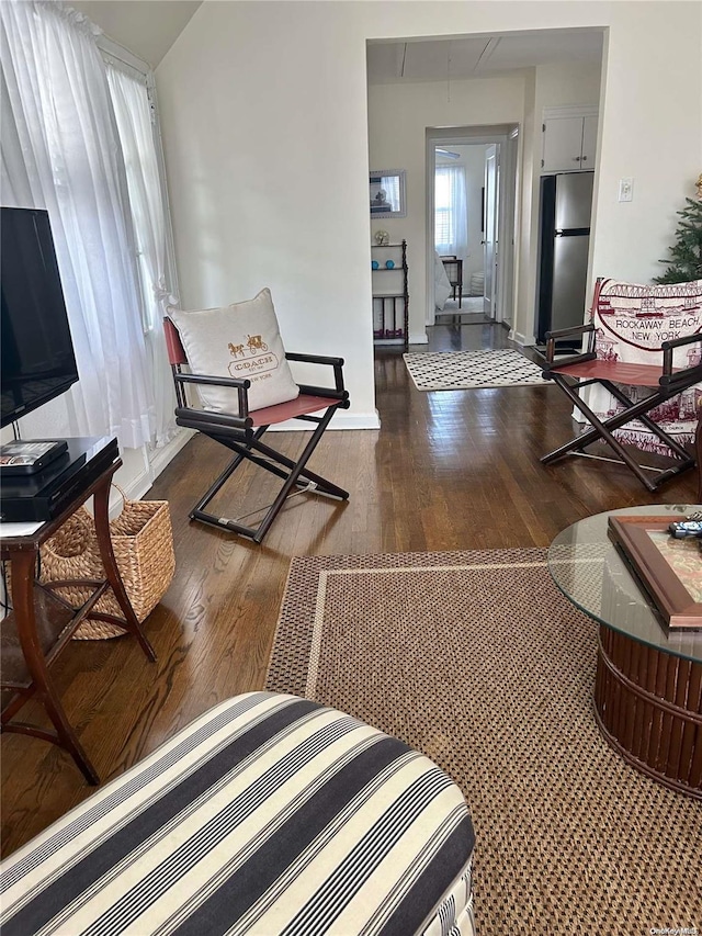 living room featuring wood-type flooring