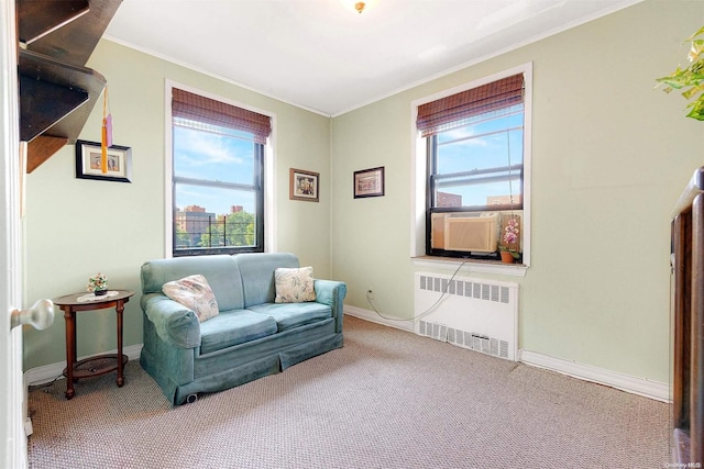 living area with carpet flooring, a wealth of natural light, crown molding, and radiator