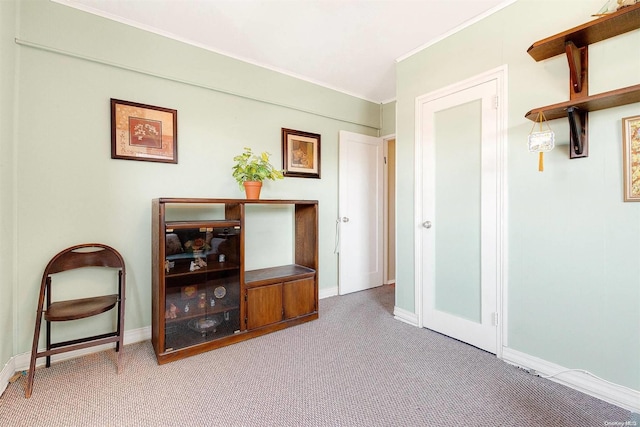 living area featuring carpet flooring