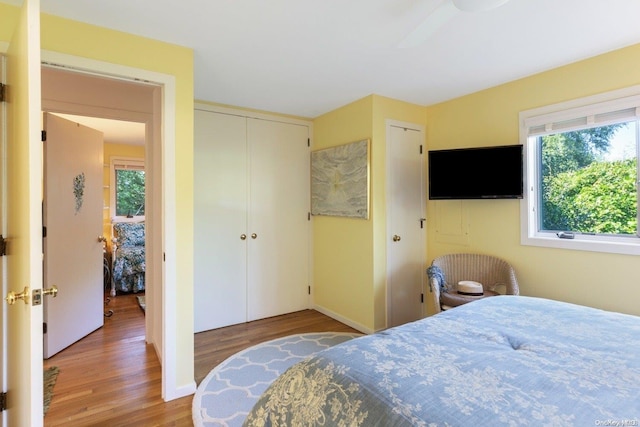 bedroom featuring wood-type flooring and ceiling fan