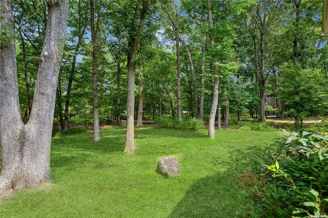 view of grassy yard