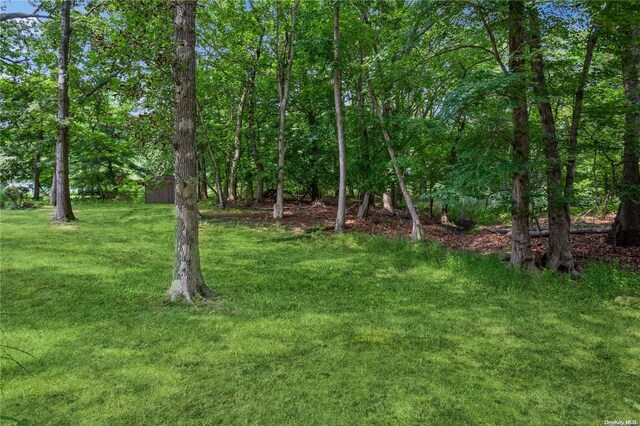 view of green lawn