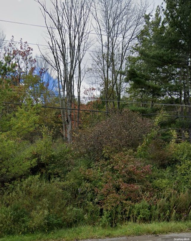 279 Stratmill, Binghamton NY, 13904 land for sale