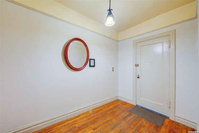 foyer featuring wood-type flooring