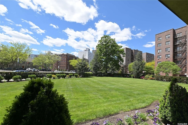 110-11 Queens Blvd Unit 2H, Forest Hills, NY 11375 - photo 8