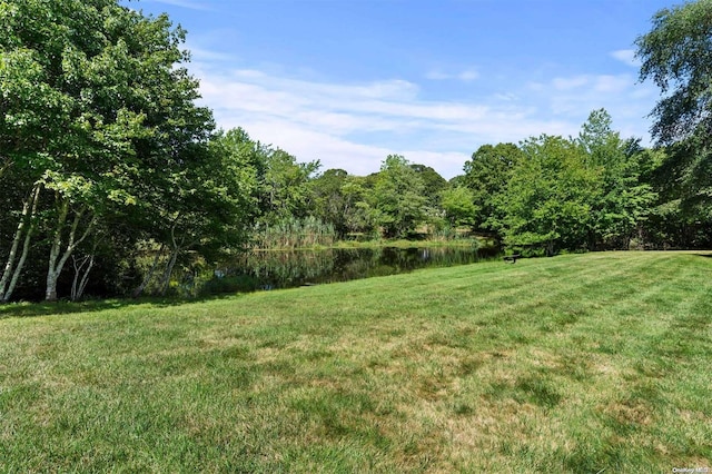 view of yard with a water view