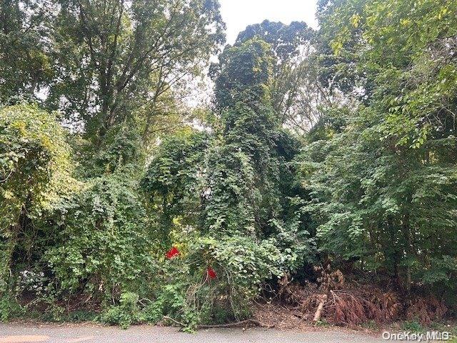 Listing photo 2 for LOT32 Cleveland Ave, Selden NY 11784