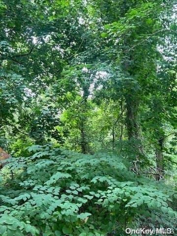 Listing photo 2 for LOT39 Lincoln Ave, Selden NY 11784