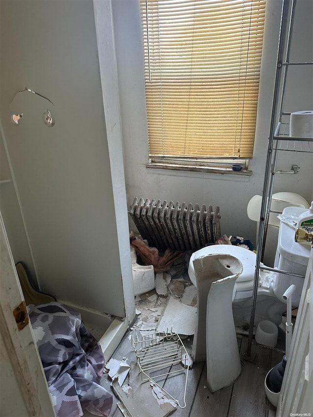 bathroom with hardwood / wood-style floors and radiator