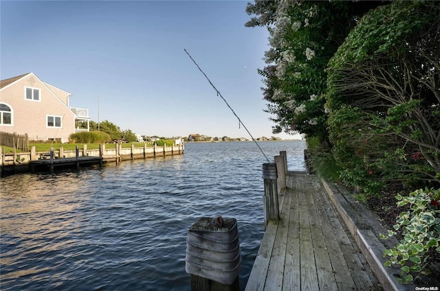 dock area with a water view