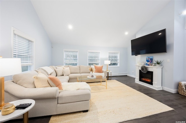 living room with dark hardwood / wood-style flooring and high vaulted ceiling