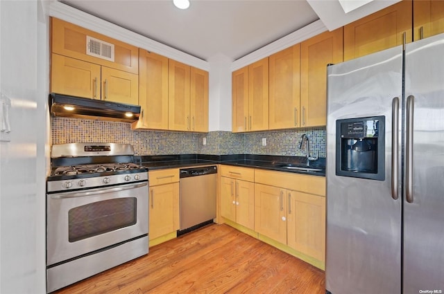 kitchen featuring tasteful backsplash, sink, stainless steel appliances, and light hardwood / wood-style floors