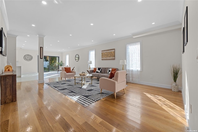 living room featuring light hardwood / wood-style floors and ornamental molding