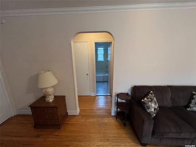 living room with crown molding and light hardwood / wood-style flooring