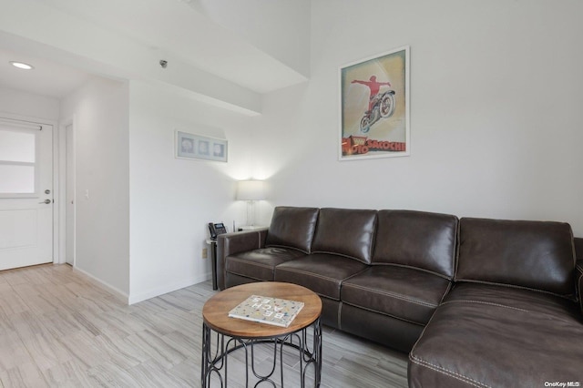 living room featuring light hardwood / wood-style flooring